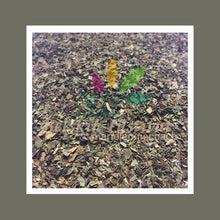 Charger l&#39;image dans la galerie, Basilic feuilles
