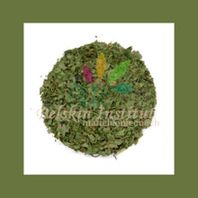 Charger l&#39;image dans la galerie, Coriandre feuilles - Herbes
