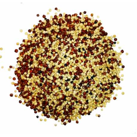 quinoa 3 couleurs